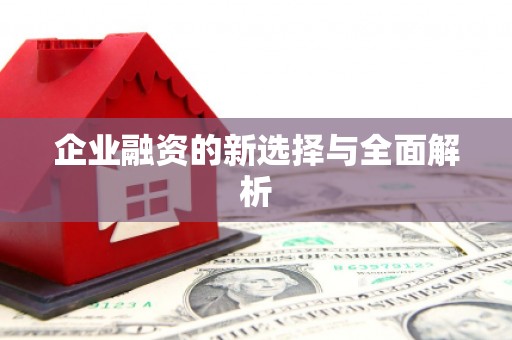 溆浦企业融资的新选择与全面解析