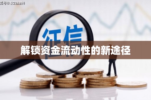 八宿解锁资金流动性的新途径