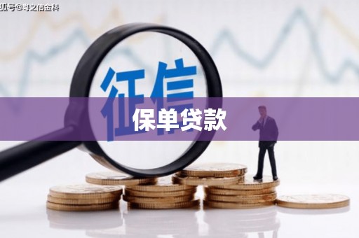 沙洋保单贷款 沙洋保单贷款
